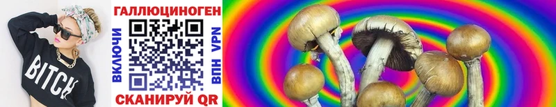 ссылка на мегу   купить   Камызяк  Псилоцибиновые грибы Psilocybine cubensis 